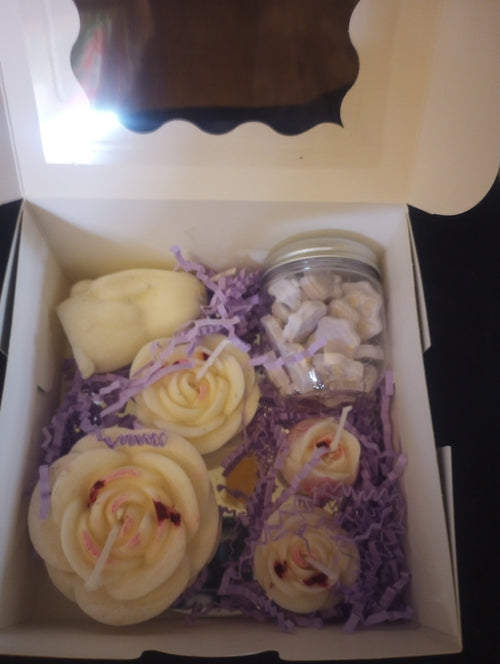 Sample boxes